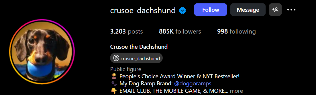 Crusoe Dachshund