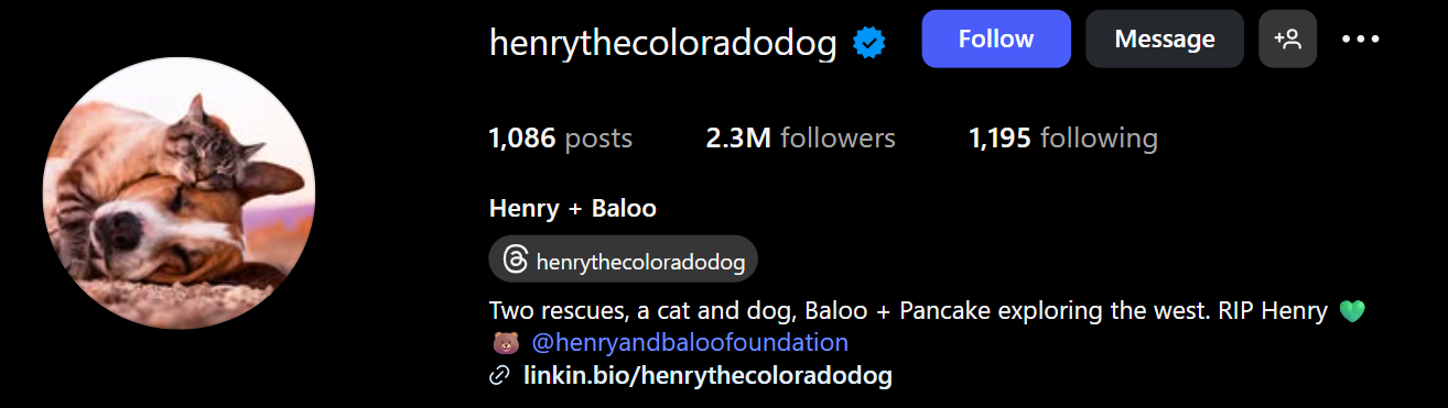 Henry the Colorado Dog