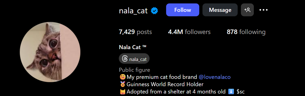 Nala Cat