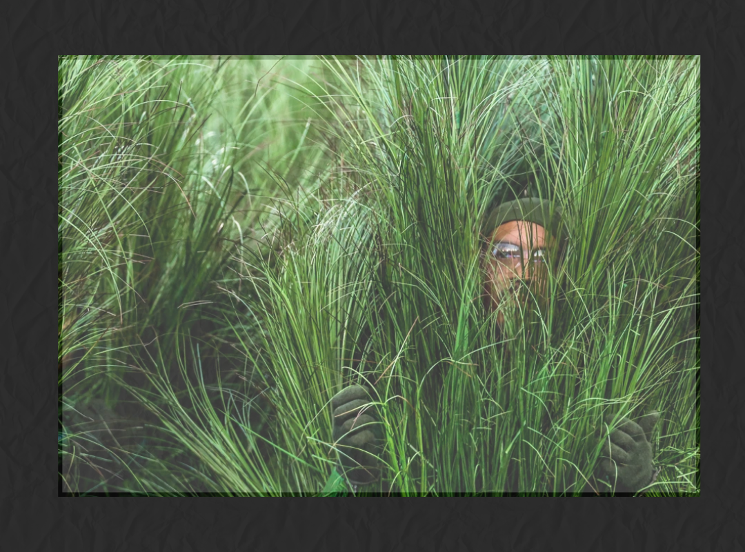 FEBRUARY 2026 LISTICLE IMAGES 